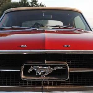 Detail of a classic car, radiator grille and emblem of a Ford Mustang Convertible
