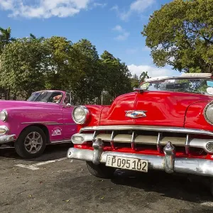 US classic cars from the 1950s can be rented for tourist city tours