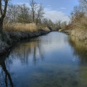 Clear water of a river with reflection of trees and sky in quiet surroundings Clear water of a river with reflection of trees and sky in quiet surroundings