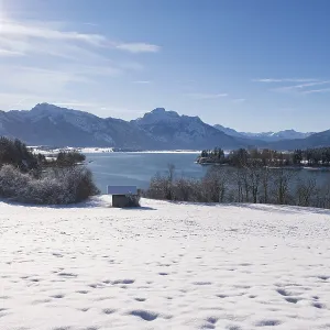 Clear winter panorama with snow