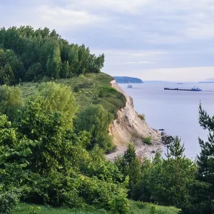 Cliff with birch woodland on Volga river