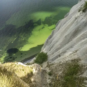 Cliffs and chalk cliffs Mons Klint