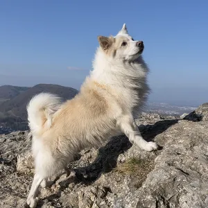 Climbing exercises in rocky terrain Climbing exercises in rocky terrain