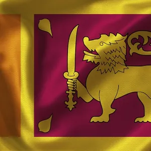 Close up of flag of Sri Lanka with cloth texture Close up of flag of Sri Lanka with cloth texture