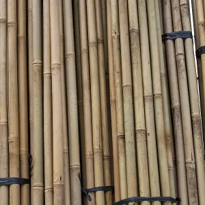 Close up full frame texture of vertical dry brown bamboo poles arranged as a natural fence