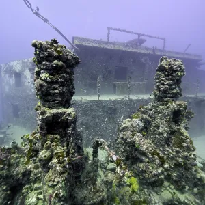 Close-up of a coral-covered shipwreck on the seabed