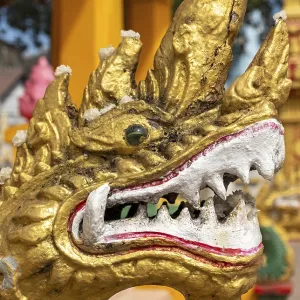 Close-up of gilded Naga, guardian deity Close-up of gilded Naga, guardian deity