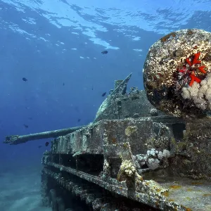 Close-up of a rusted tank wreck with coral growth