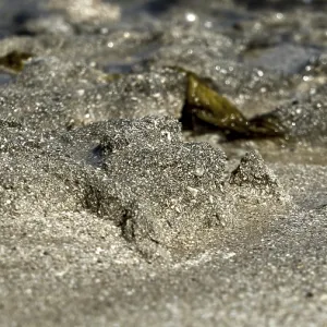 Close-up of sand and shells on a beach with water in the background Close-up of sand and shells on a beach with water in the background
