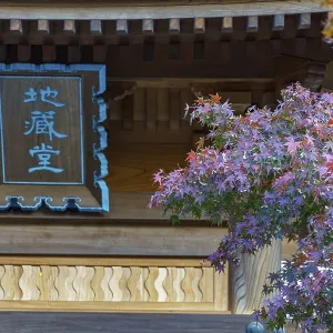 Close-up of temple woodwork with autumn-colored foliage at a Japanese temple Close-up of temple woodwork with autumn-colored foliage at a Japanese temple