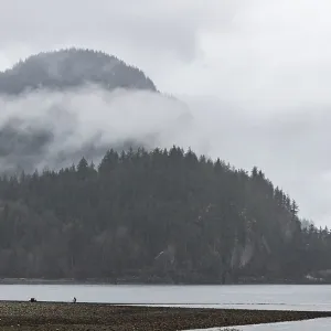 Cloud-covered mountains with tree-lined shore and tranquil misty waters along the Lower Mainland of British Columbia