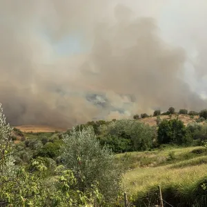 Clouds of smoke, forest fire, wildfire Clouds of smoke, forest fire, wildfire