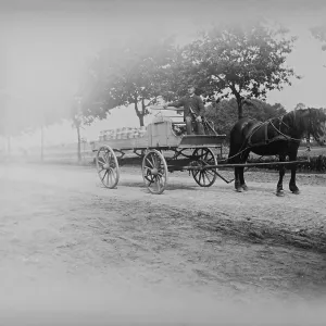 Coachman, horse-drawn carriage with milk cans Coachman, horse-drawn carriage with milk cans