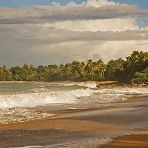 Coast at Plage de Cluny, Anse du Vieux Fort