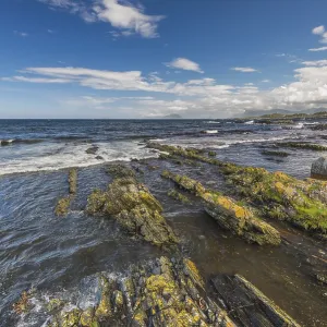 Coast, Runde Island, Norway, Europe