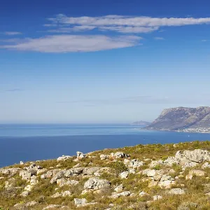 Coastal mountain landscape with fynbos flora in Cape Town South Africa Coastal mountain landscape with fynbos flora in Cape Town South Africa