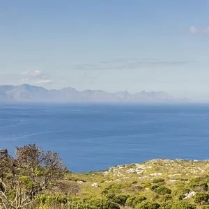 Coastal mountain landscape with fynbos flora in Cape Town South Africa Coastal mountain landscape with fynbos flora in Cape Town South Africa