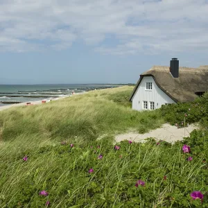 Coastal Scene Print - Ahrenshoop, Baltic Sea, Germany