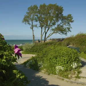 Coastal Print: Ahrenshoop, Baltic Sea, Germany