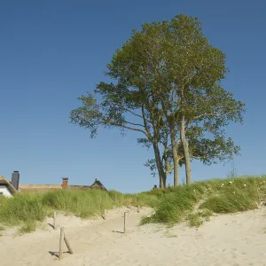 Coastal Scene Print, Ahrenshoop, Baltic Sea, Germany