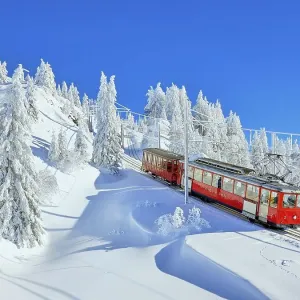 Cogwheel railway travelling through snow-covered forest Cogwheel railway travelling through snow-covered forest