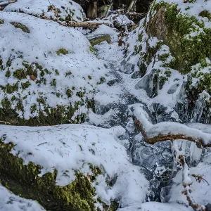 In a cold forest, water flows between rocks and is covered with snow and ice In a cold forest, water flows between rocks and is covered with snow and ice
