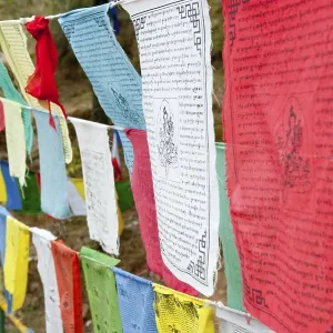 Colorful Tibetan Buddhist prayer flags hanging in rows