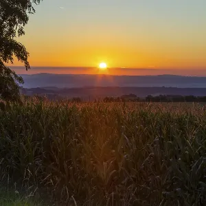 Colour-intensive sunrise towards Saxon Switzerland seen from round