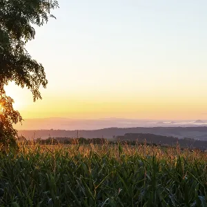 Colour-intensive sunrise towards Saxon Switzerland seen from round