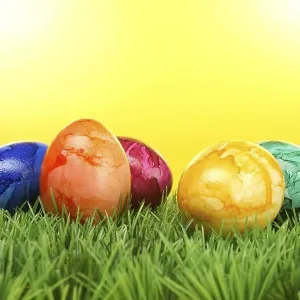Coloured Easter eggs on grass
