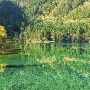 Colourful Lake, Jiuzhaigou National Park Colourful Lake, Jiuzhaigou National Park