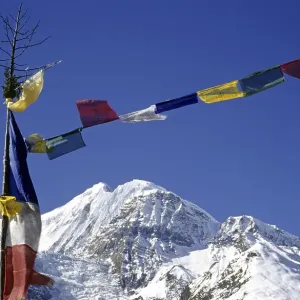 Colourful prayer flags, printed with holy verses and images of the Wind Horse