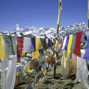 Colourful prayer flags printed with holy verses and a Wind Horse Colourful prayer flags printed with holy verses and a Wind Horse