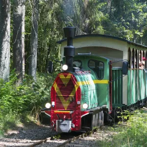 A colourful train runs through a sunny