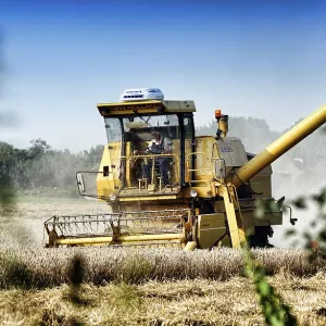 Combine harvester, wheat harvest Combine harvester, wheat harvest