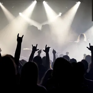 Concert-goers, audience, holding up their hands