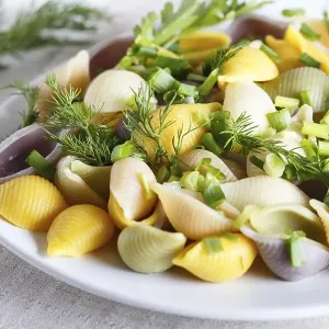 Conchiglie Colored Pasta Print