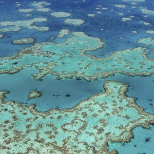 Coral Reef, Heart Reef, part of Hardy Reef Coral Reef, Heart Reef, part of Hardy Reef