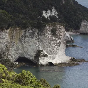Coromandel Peninsula, New Zealand, Oceania Coromandel Peninsula, New Zealand, Oceania