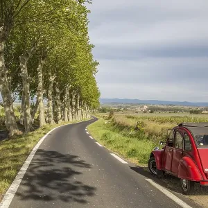 Country road with plane trees and a red Citroen 2CV