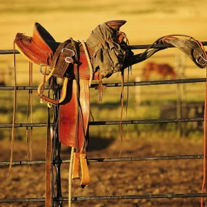 Cowboy saddle on an iron fence in the evening light Cowboy saddle on an iron fence in the evening light