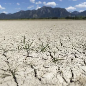Cracked, dried out ground, waterless Forggensee in spring