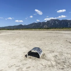 Cracked, dried out ground, waterless Forggensee in spring