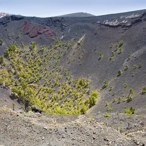 Crater in La Palma San Antonio volcano Fuencaliente at Canary islands Crater in La Palma San Antonio volcano Fuencaliente at Canary islands