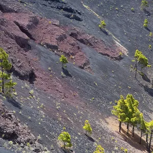 Crater in La Palma San Antonio volcano Fuencaliente at Canary islands