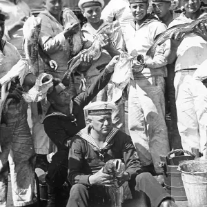 Crew members torpedo boat griffin with fish