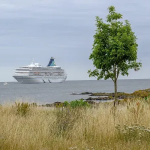 Cruise ship in the sea, lonely tree and grass in the foreground