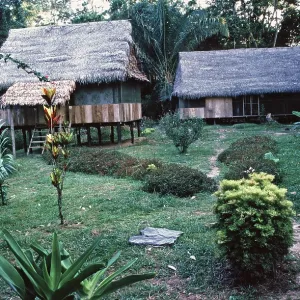 Cumaceba jungle lodge near Iquitos Cumaceba jungle lodge near Iquitos