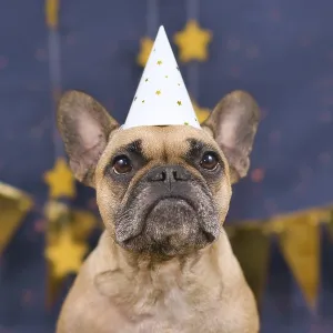 Cute French Bulldog dog wearing New Years Eve party celebration hat in front of blue background with golden garlands