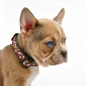 Cute Red Pied French Bulldog Puppy Print Cute Red Pied French Bulldog Puppy Print